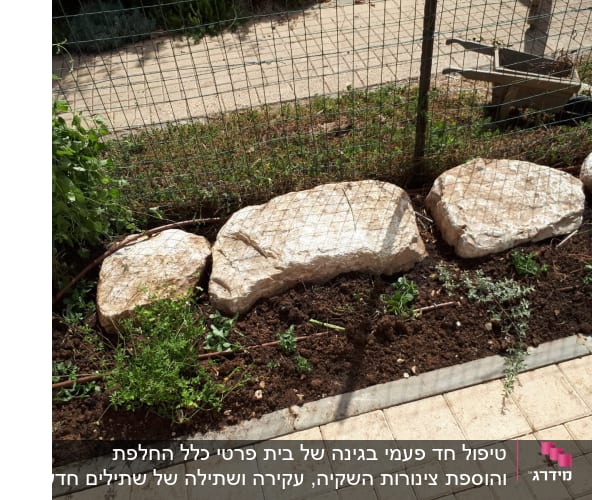 אבנים גדולות, צמחים ואדמה בגינה